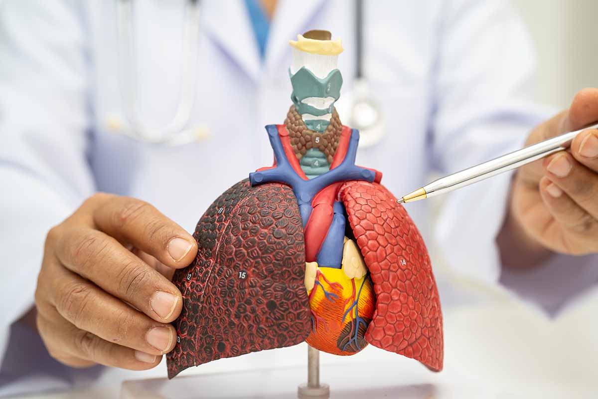 obstructive vs restrictive lung disease